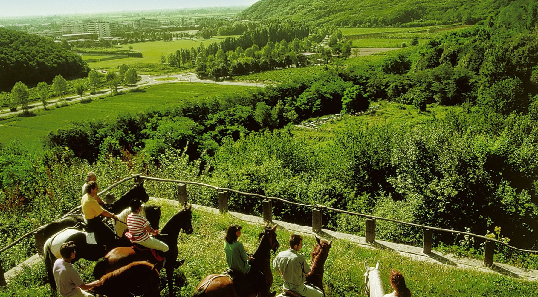 Horse Riding in the Euganean Hills.