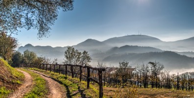 Itineraries and Hiking ad Abano e Montegrotto Terme