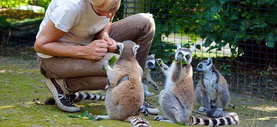 Parco Faunistico Valcorba Thermae Abano Montegrotto