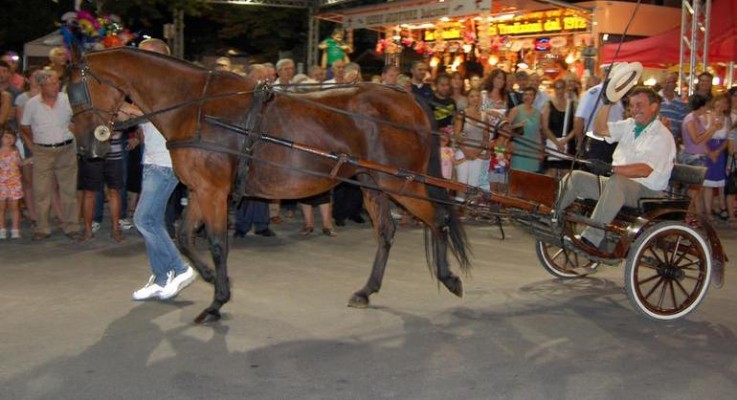 Fiera di Sant'Agostino a Conselve
